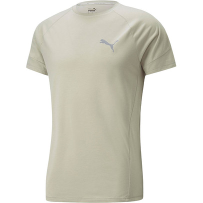 Puma Evostripe Training Shirt