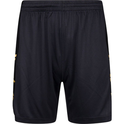 Robey Performance Training Short