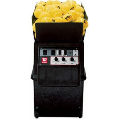 Wilson Standard 220V