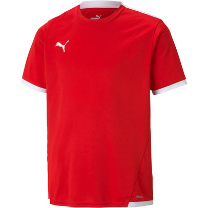 Puma LIGA Training Shirt Kids