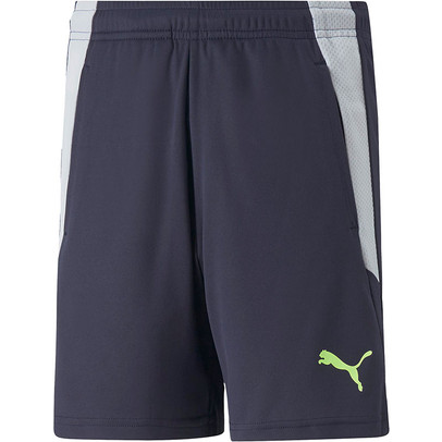 Puma LIGA Training Short