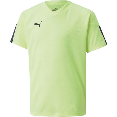 Puma FINAL Training Shirt