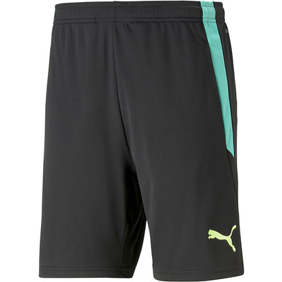 Puma LIGA Training Short
