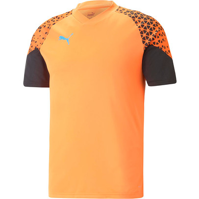 Puma CUP Training Shirt