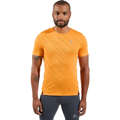 Odlo Zeroweight Chill-Tec T-shirt Heren