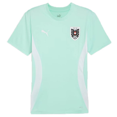 Puma Austria Trainingsshirt 2024/2026