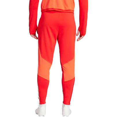 adidas Bayern München Training Pant 2023/2024