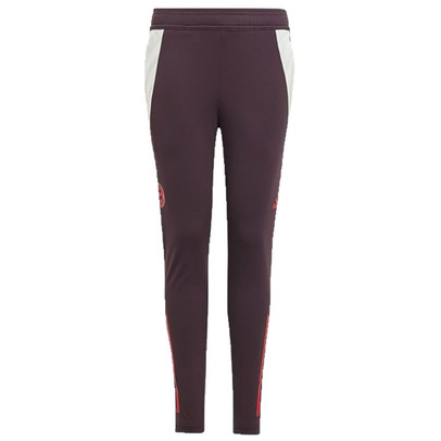 adidas Bayern München Training Hose Kinder