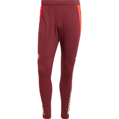 adidas Bayern München Training Pant 2024/2025