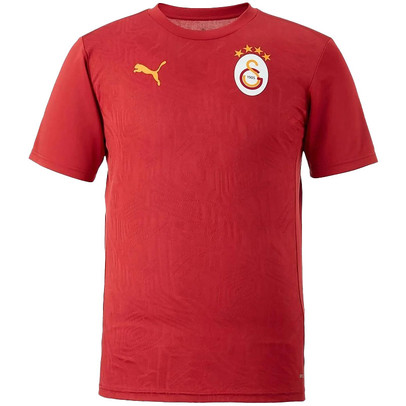 Puma Galatasaray Training Shirt 2024/2025