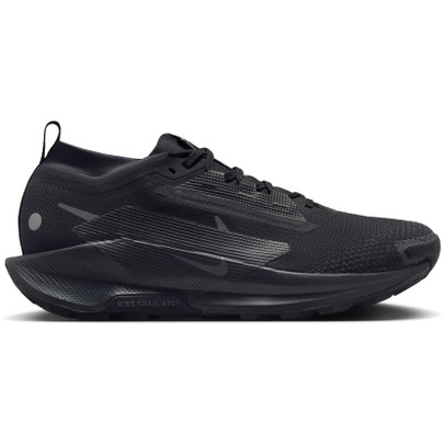 Nike Pegasus Trail 5 GTX Heren