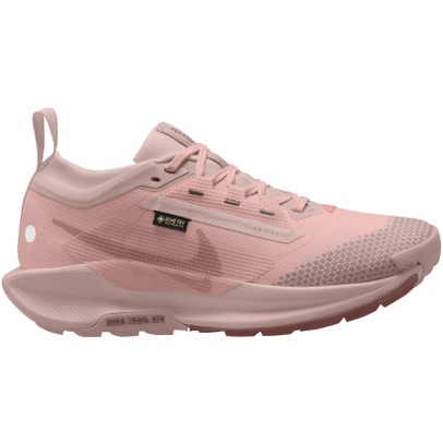 Nike Pegasus Trail 5 GTX Dam