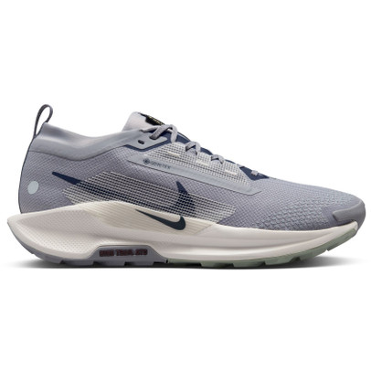 Nike Pegasus Trail 5 GTX Herren