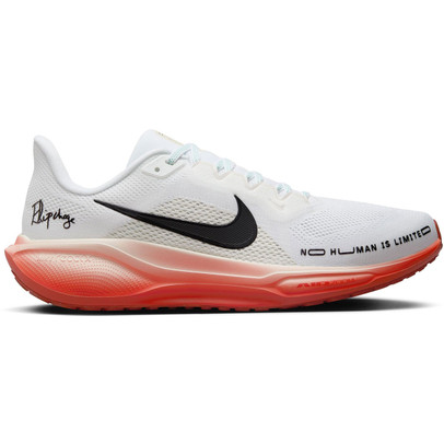 Nike Pegasus 41 EK Heren