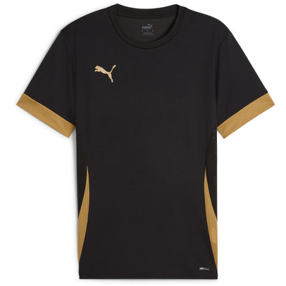 Puma GOAL Training Tröja