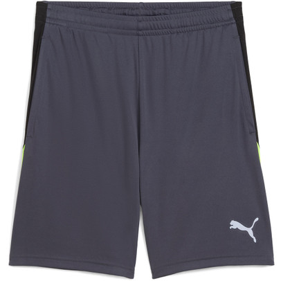 Puma LIGA Training Short