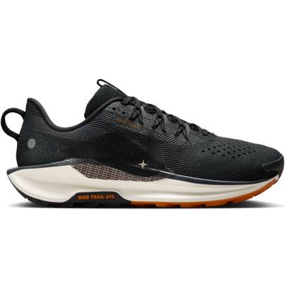 Nike Pegasus Trail 5 Heren