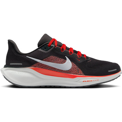 Nike Pegasus 41 Herren