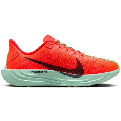 Nike Pegasus Plus Heren