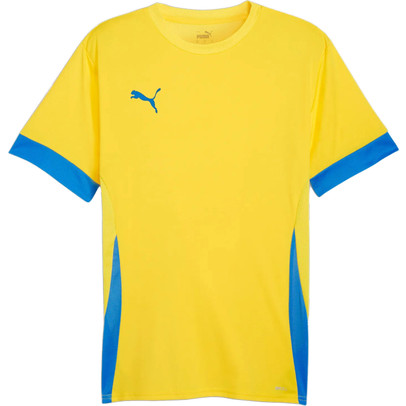 PUMA GOAL Träningströja
