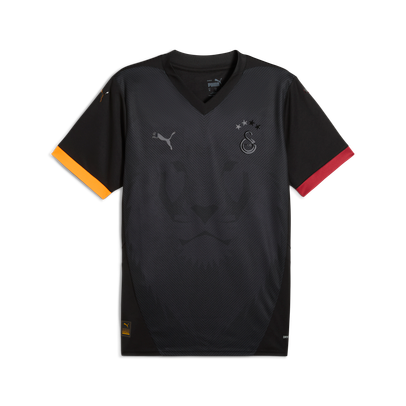 Puma Galatasaray Special Edition Shirt 2024/2025