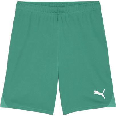 Puma GOAL Training Short