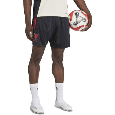 adidas Liverpool Training Shorts 2025/2026