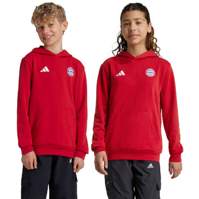 adidas Bayern Munich DNA Hoody Kids