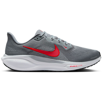 Nike Pegasus 41 Heren