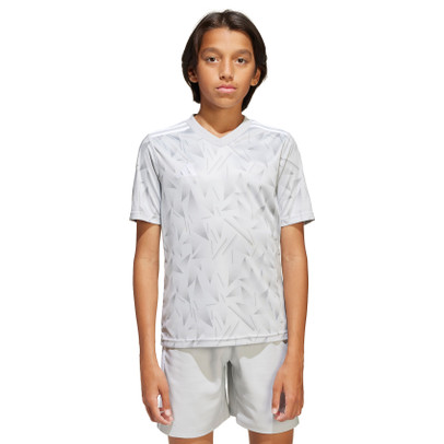 adidas Team Icon 25 Träningströja Barn