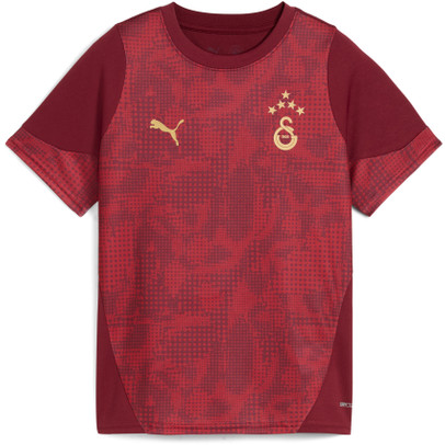 Puma Galatasaray Trainings-Shirt Kinder 2025/2026