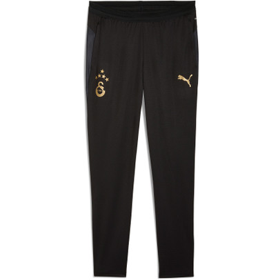 Puma Galatasaray Training Pant 2025/2026