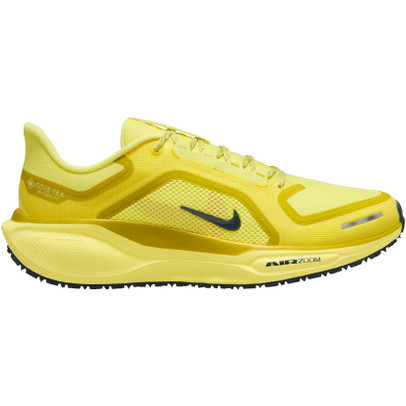 Nike Pegasus 41 GTX Herren