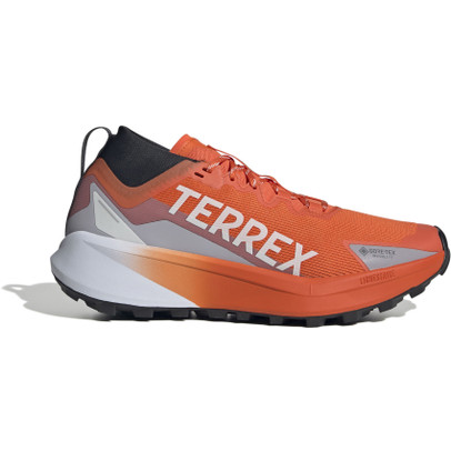 adidas Terrex Agravic GTX Heren