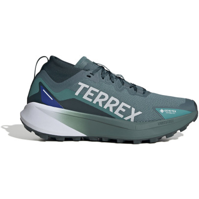 adidas Terrex Agravic GTX Heren