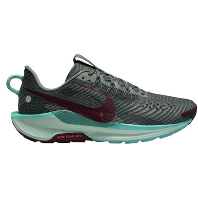 Nike Pegasus Trail 5 Heren