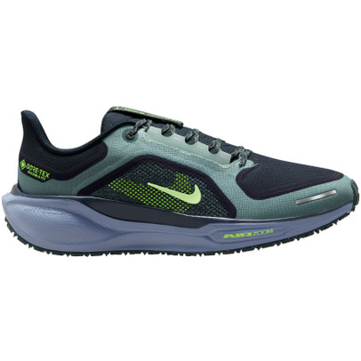 Nike Pegasus 41 GTX Heren