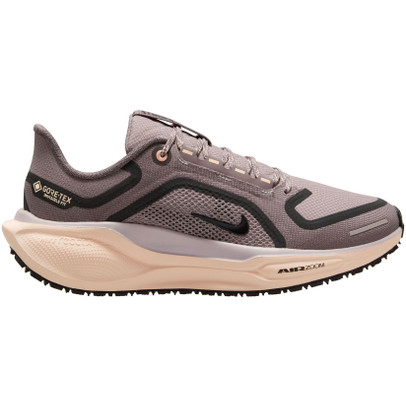 Nike Pegasus 41 GTX Dames