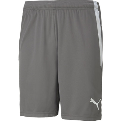 Puma Teamliga Short
