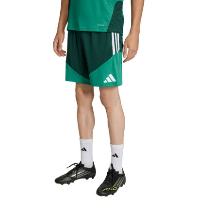 adidas Algeria Training Shorts WC 2026