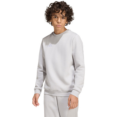 adidas Entrada 26 Sweat Top Kids