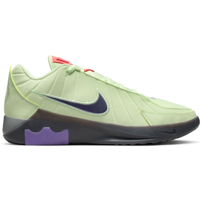 Nike LeBron Witness IX