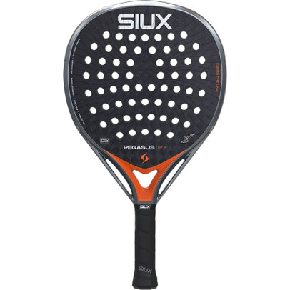 Siux Pegasus Pro 2026