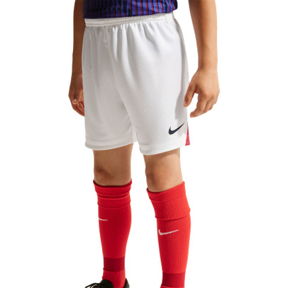 Nike Paris Saint-Germain Auswärts Kinder 26/27