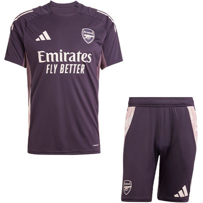 adidas Arsenal Trainingsset