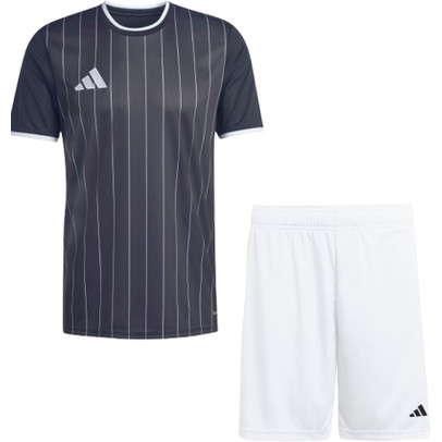 adidas Entrada 26 GFX Trainingsset