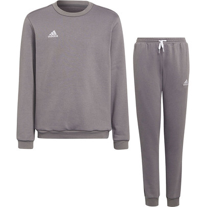 Adidas pak grijs store