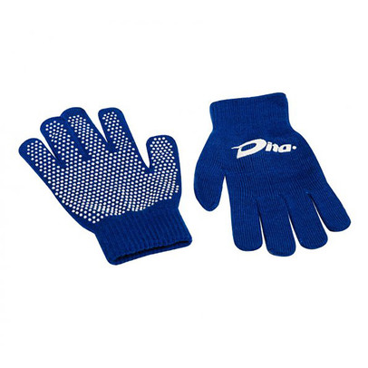 Dita Aspen Winter Gloves
