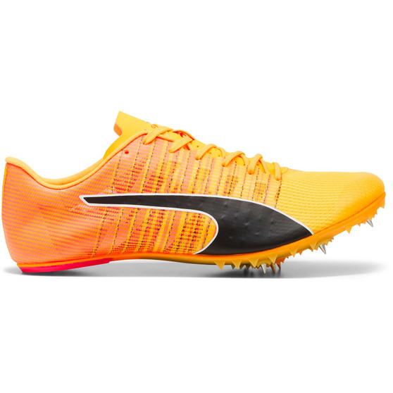 evoSPEED FUTURE 6