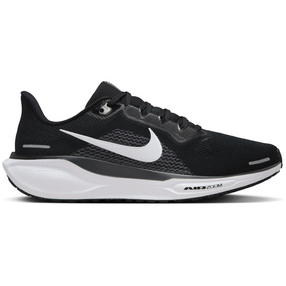 Pegasus 41